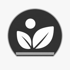 Singh Enterprises